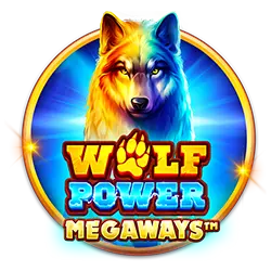 c66 casino online how much did mattress mack bet